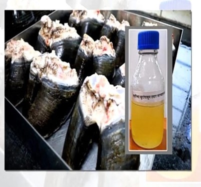 Video On Neats Foot Oil